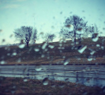 Small_3747