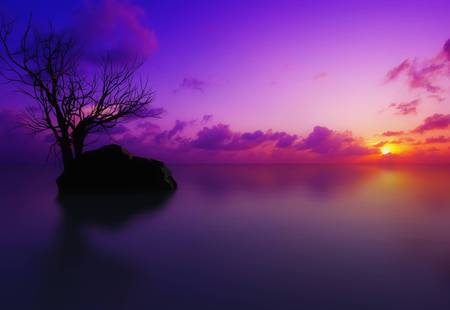 Homepage_3763