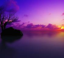 Small_3763