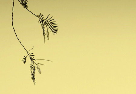 Homepage_3803