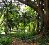 Small_3845