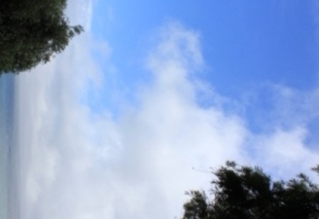 Homepage_3846