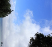Small_3846