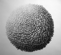 Small_3859