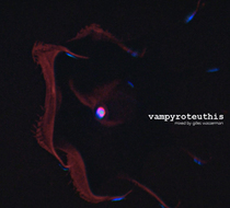 Small_3861