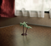 Small_3873