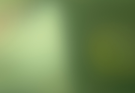 Homepage_3913