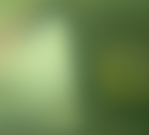 Small_3913