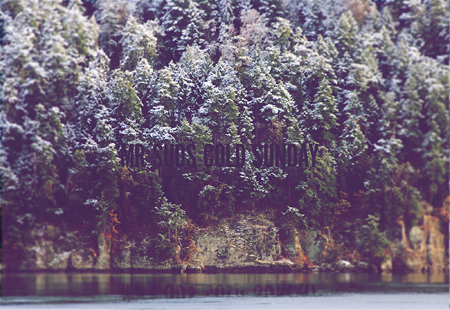 Homepage_3917