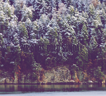 Small_3917