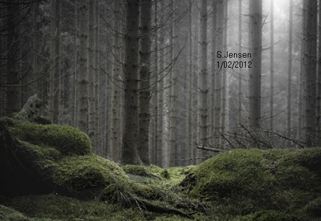 Homepage_3918