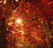 Small_3928