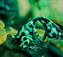 Small_3969