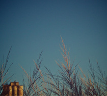 Small_4027