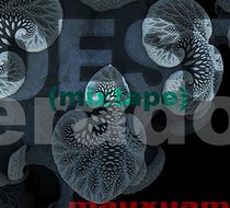 Small_4145