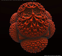 Small_4185