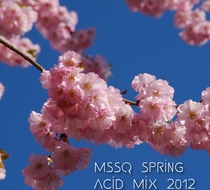 Small_4232