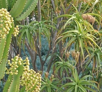 Small_4350