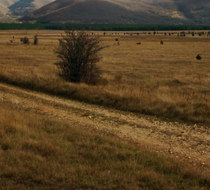 Small_4422