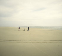 Small_445