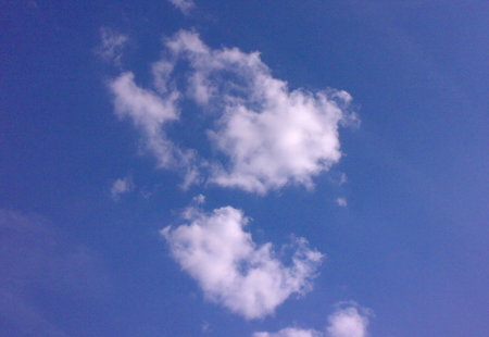 Homepage_4452