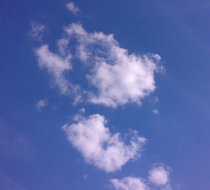 Small_4452
