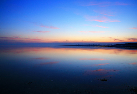 Homepage_4478