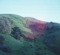 Small_4542