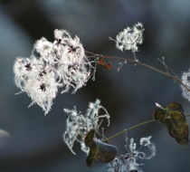 Small_4556