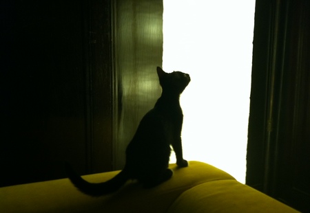 Homepage_4623