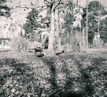 Small_470