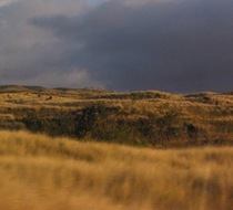 Small_499