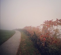 Small_5005