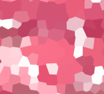 Small_5111