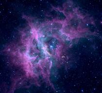 Small_5365