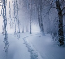 Small_5405