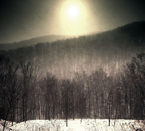 Small_5458