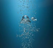 Small_5542