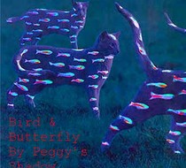 Small_5584