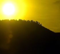 Small_5793