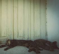 Small_5867