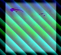Small_5907