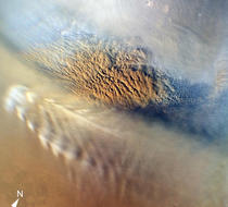 Small_5926