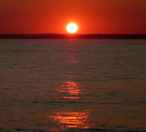 Small_676