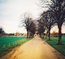 Small_71