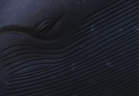 Homepage_773