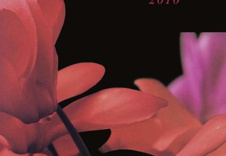 Homepage_799