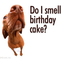 Large_happy_birthday_to
