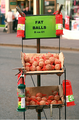 Fat Balls