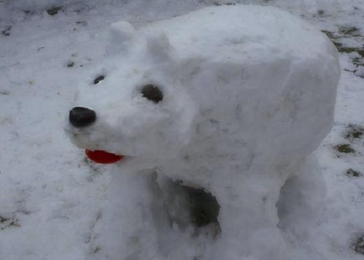 SnowBear